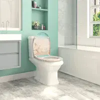 Sandy Beach Soft Close Toilet Seat