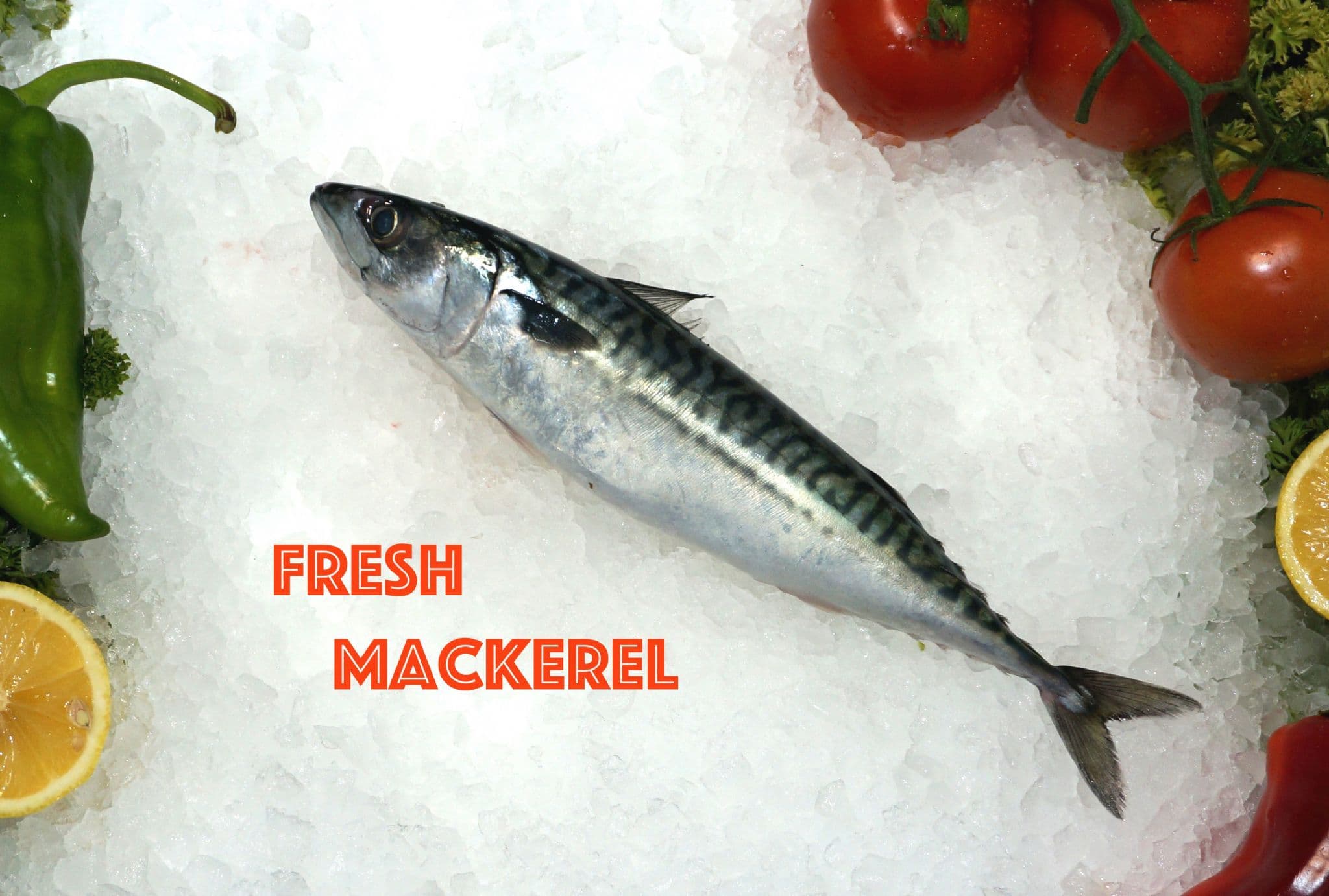 Fresh Whole Mackerel 1kg