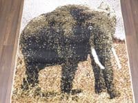 Modern Approx 5x2ft6 80cmx150cm Woven Top Quality Elephant Beiges Rugs/Mats