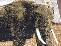 Modern Approx 6x4 120x170cm Woven Backed Elephant Rugs Sale  Top Quality Beiges