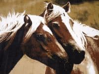 Modern Approx 6x4 120x170cm Woven Backed Horses Rug Sale Top Quality Beige/Black