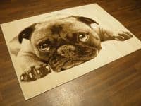 Modern Approx 6x4 120x170cm Woven Backed Pugs Rug Sale Top Quality Beiges/Cream