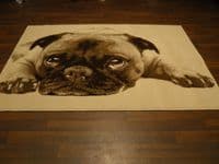 Modern Approx 6x4 120x170cm Woven Backed Pugs Rug Sale Top Quality Beiges/Cream