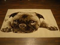 Modern Approx 6x4 120x170cm Woven Backed Pugs Rug Sale Top Quality Beiges/Cream