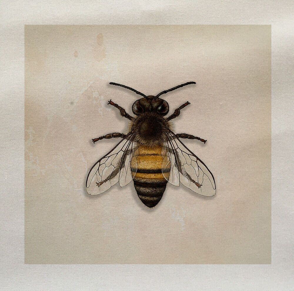 Bee Flying Insect Fabric Panel