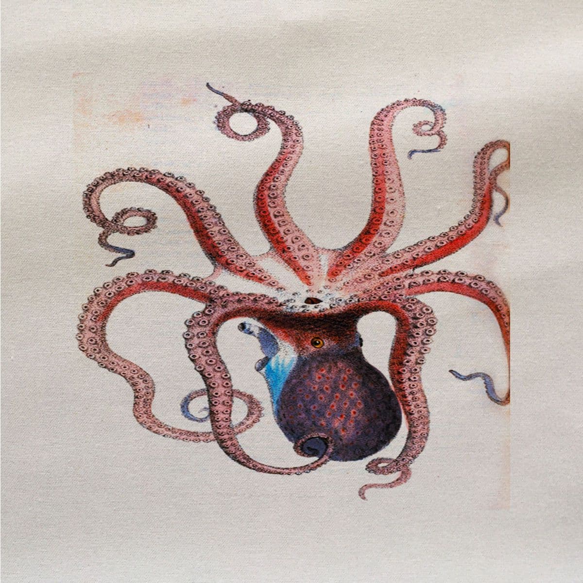 Octopus Illustration Pink - Fabric Panel