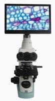 TXPLITE4K8MPA