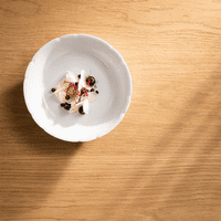Degrenne Paris 'Reminiscence' White Porcelain Bowl 19cm