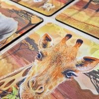 Africa Animals Placemat and Coaster Set