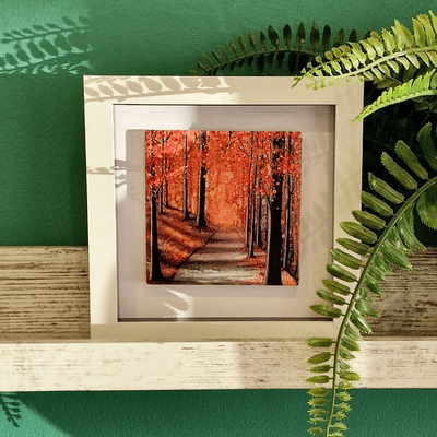 Autumn Small Picture