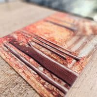 Autumn Worktop Saver