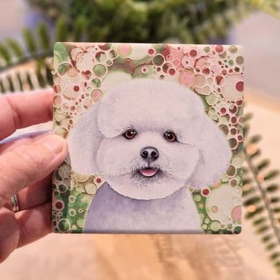 Bichon Frise Dog Coaster