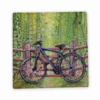 Bike Coaster