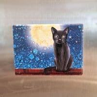 Black Cat Magnet