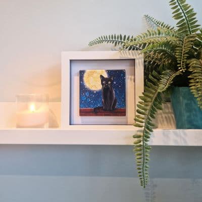 Black Cat Small Picture