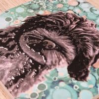 Black Cockerpoo Coaster