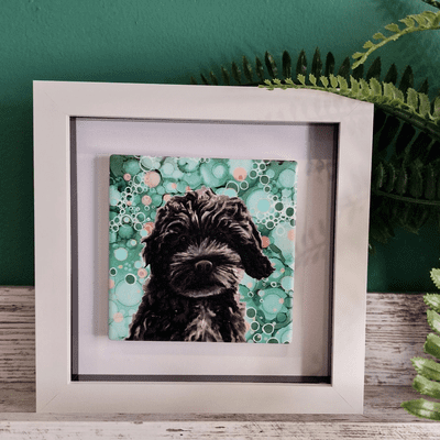 Black Cockerpoo Dog Small Picture