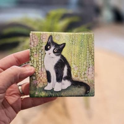 Black & White Cat Coaster