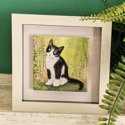 Black & White Cat Small Picture