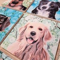 Border Collie Dog Coaster