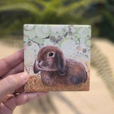 Bunny Rabbit Coaster