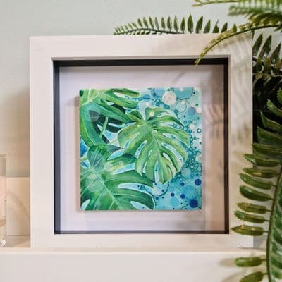 Cheeseplant 1 Small Picture