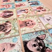 Chihuahua Dog Coaster