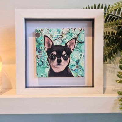 Chiuahua Dog  Small Picture