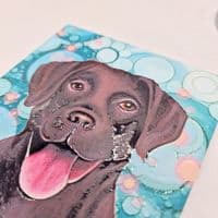 Chocolate Labrador Coaster