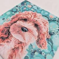 Cockerpoo Dog Coaster