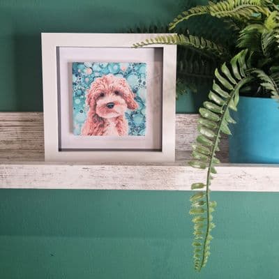 Cockerpoo Dog Small Picture