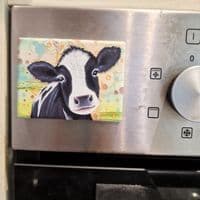 Cow Magnet