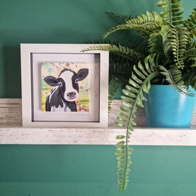 Cow  Small Picture