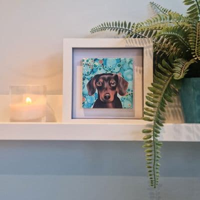 Dachshund Dog  Small Picture