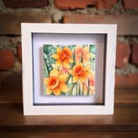 Daffodils  Small Picture