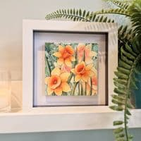 Daffodils  Small Picture