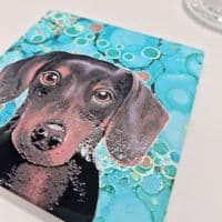 Daschund Coaster