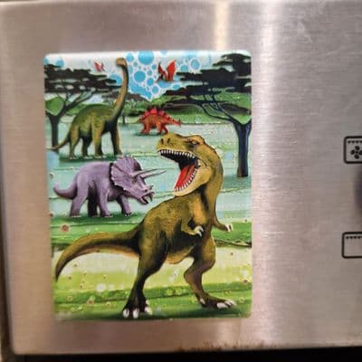 Dinosaur Magnet