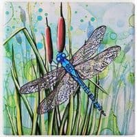Dragonfly Coaster