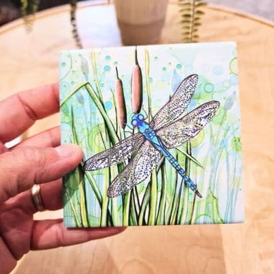 Dragonfly Coaster