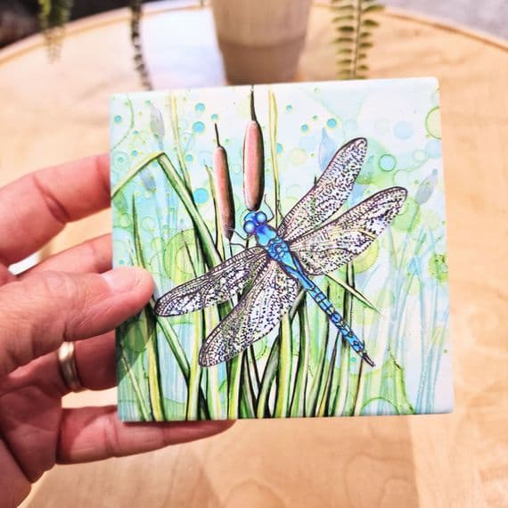 Dragonfly Coaster
