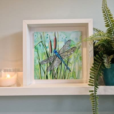 Dragonfly Large Picture