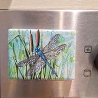 Dragonfly Magnet