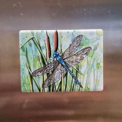 Dragonfly Magnet