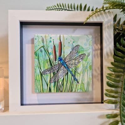 Dragonfly Small Picture