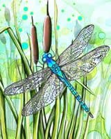 Dragonfly Splashback