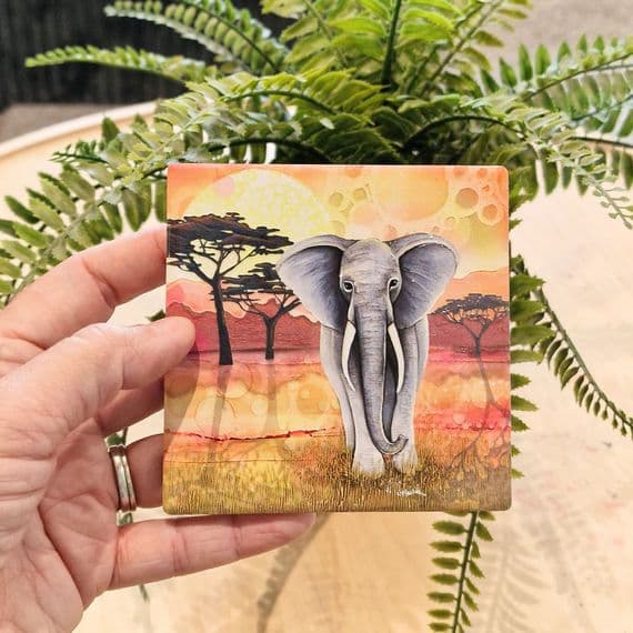 Elephant Coaster