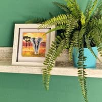 Elephant  Small Picture 2