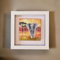 Elephant  Small Picture 2