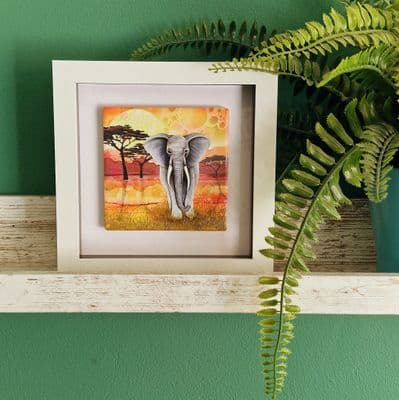 Elephant  Small Picture 2